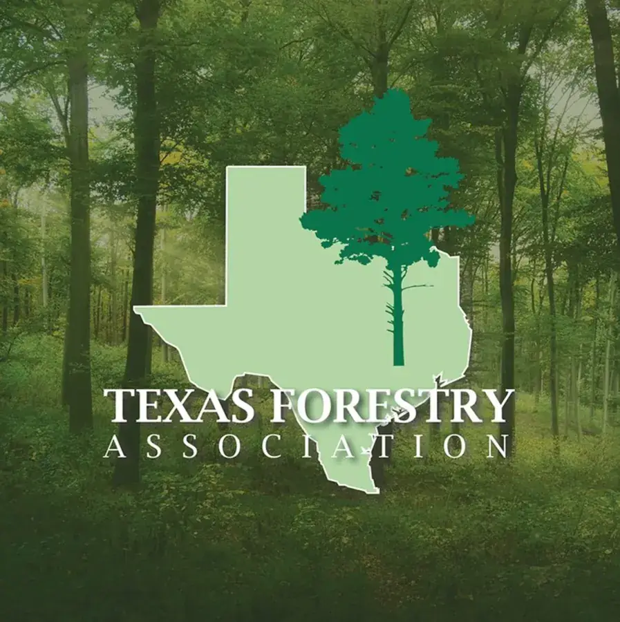 Texas Forestry Association logo over a forest